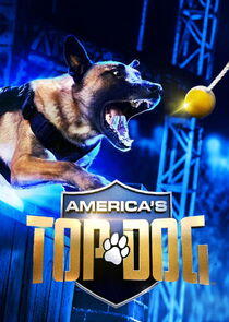 America's Top Dog - Season 1