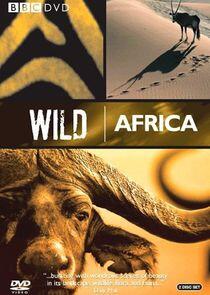 Wild Africa Wild Africa