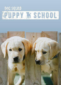 Dog Squad: Puppy School Dog Squad: Puppy School