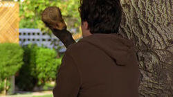 My Big Bird My Big Bird