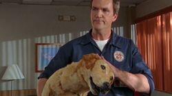 My Scrubs My Scrubs