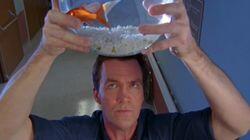 My Fishbowl My Fishbowl