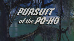 Pursuit of the Po-Ho Pursuit of the Po-Ho