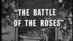 The Battle of the Roses The Battle of the Roses