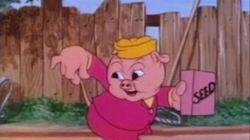 Porky's Garden Porky's Garden