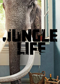 Jungle Life Jungle Life