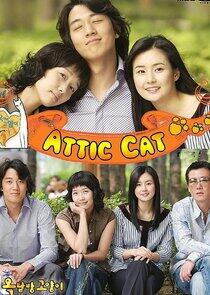 Attic Cat Attic Cat