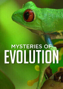 Mysteries of Evolution Mysteries of Evolution