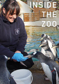 Inside the Zoo Inside the Zoo
