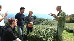 Bringing Japanese Tea to the World Bringing Japanese Tea to the World