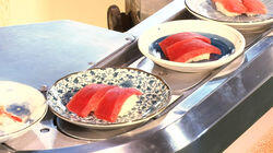 Conveyor Belt Sushi Conveyor Belt Sushi