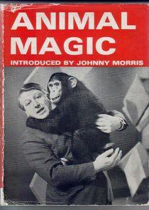 Animal Magic Animal Magic