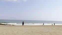 The Shore Thing The Shore Thing