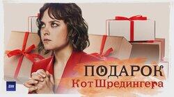 Кот Шредингера Кот Шредингера