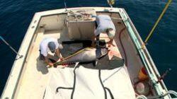 Mission: Fishin! Mission: Fishin!