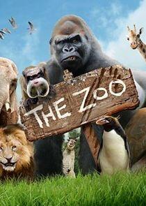 The Zoo The Zoo