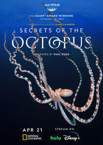 Secrets of the Octopus Secrets of the Octopus