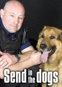 Send in the Dogs Send in the Dogs