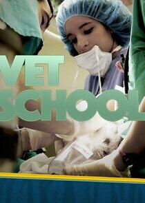 Vet School Vet School