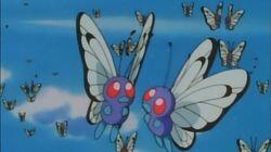Bye Bye Butterfree Bye Bye Butterfree