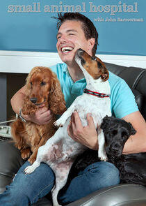 Small Animal Hospital Small Animal Hospital