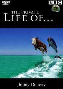 The Private Life of... The Private Life of...