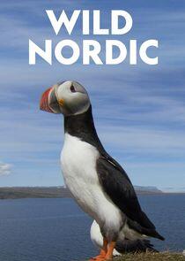 Wild Nordic Wild Nordic