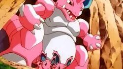 In the Pink In the Pink