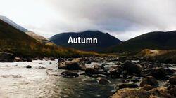 Autumn Autumn