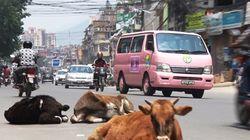 Love and Sorrow in Kathmandu Love and Sorrow in Kathmandu