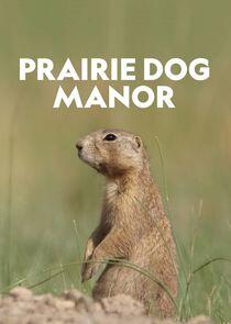 Prairie Dog Manor Prairie Dog Manor
