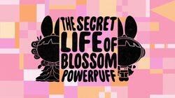 The Secret Life of Blossom Powerpuff The Secret Life of Blossom Powerpuff