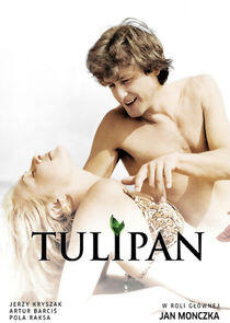 Tulipan Tulipan