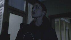 Animal Revenge, Almost Dead and Paranormal Prisoner Animal Revenge, Almost Dead and Paranormal Prisoner