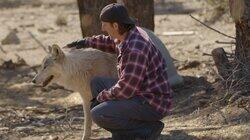 A Wolf Romance A Wolf Romance