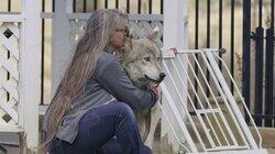 Wolf on the Loose Wolf on the Loose