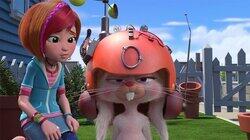 Zen Rabbit Zen Rabbit