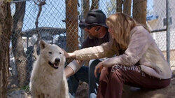 Welcome to the Wolf Sanctuary Welcome to the Wolf Sanctuary
