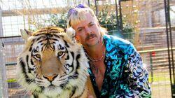 The Tiger King Mystery The Tiger King Mystery