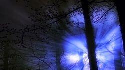 The Alien Files The Alien Files