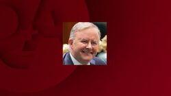 Anthony Albanese on Q+A Anthony Albanese on Q+A