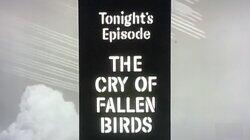 The Cry of Fallen Birds The Cry of Fallen Birds