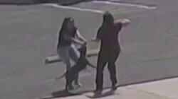Vicious Abductions Vicious Abductions