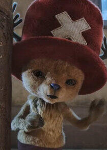 Tony Tony Chopper