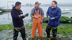 Hog Island Hog Island