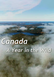 A Year in the Wild A Year in the Wild