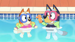 The Pool The Pool