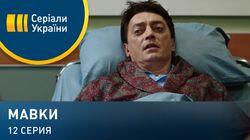 Серия 12 Серия 12