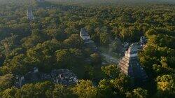 Tikal Tikal