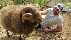 There's Something About Aries There's Something About Aries